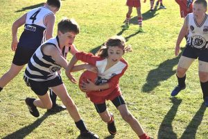 Full round of games for the Cobras