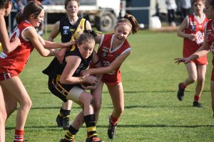 Torquay prevails