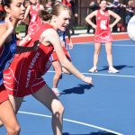 netball_197104_02.JPG