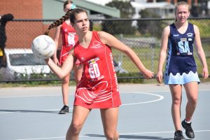 High honours for Grubbers