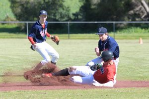 Bears into grand final