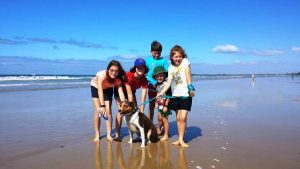 Dogs could be banned