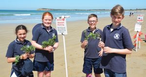 Beach blitz for students