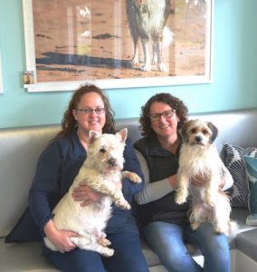 Cherished Pets continues to shine