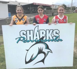 Shark alert on Bellarine