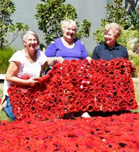 Local craft group makes 4000 poppies for Remembrance Day
