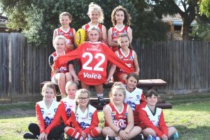 ‘Come and try’ say Cobras