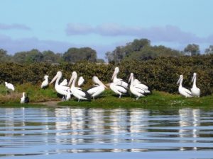 Feedback for riverbank sought