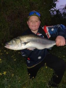 Snapper still out in force