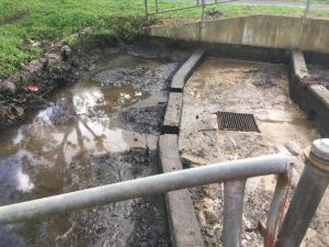 Oil dumped in drain
