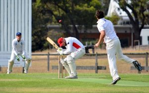 Season of one-day games a possibility