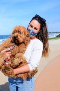 Dog beach guidelines announced
