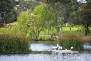 Lake feedback sought