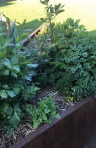 How does your garden grow?