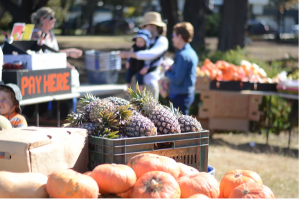 Rotary market is back