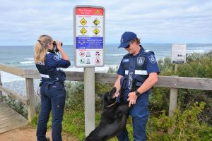 Plover patrol ramps up