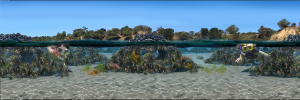 Artificial reef to transform The Dell