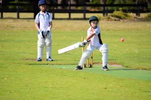 In form Cobras down Seagulls