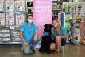 Adopt ‘different’