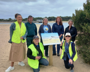 Protecting the hooded plover
