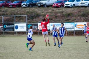 Seas end Grove’s winning streak