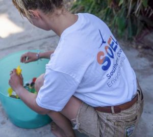 Schools bare their soul to help environment