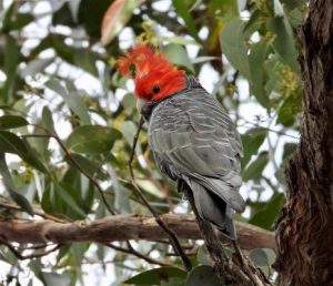 West delivers plenty of bird sightings