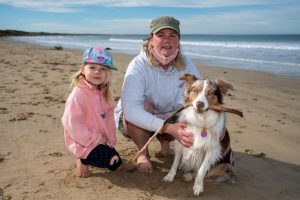 Dog-free beach feedback moves online