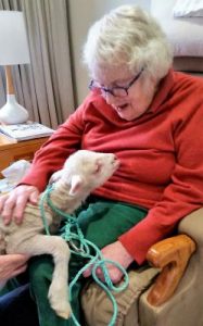Pet therapy