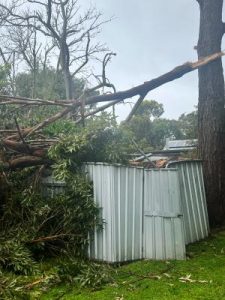 Wild weather batters coast