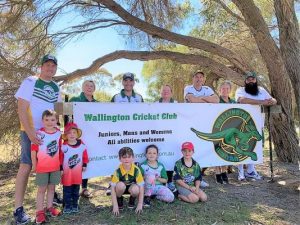 Wallabies bounding ahead