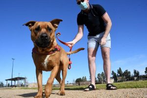 Dog park reopens