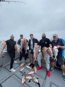 Queenscliff a hot spot for squid