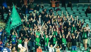 Green and black are back