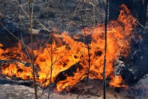 Bellarine added to air-quality watch