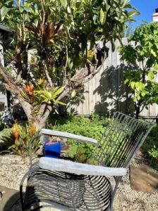 Special treat for gardeners