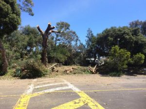 Barwon Coast counting the cost of storm damage