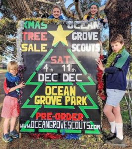 Scout trees on sale