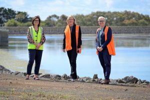 Water strategy for the Bellarine