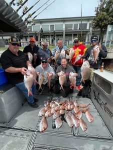 Snapper still biting at waterfront