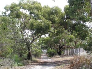 Upgrades coming for nature reserve