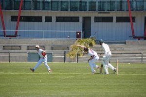 Cooper stars again