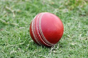 Cobras relegated, Saints stay up