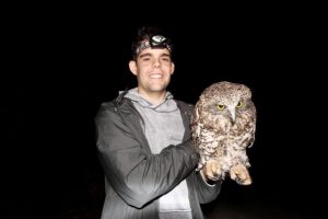 Helping birds of prey