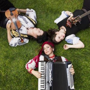 Windfire Festival set to shine