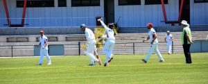 Runs and wickets