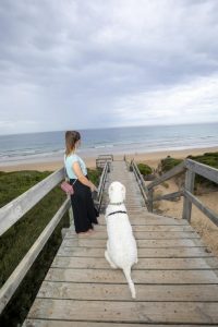 Free pooch sessions