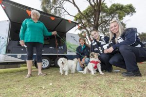 Dog day out at foreshore