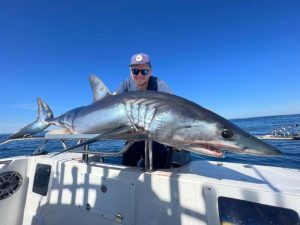 Fish biting around the region