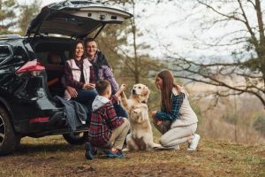 RACV safe driving tips